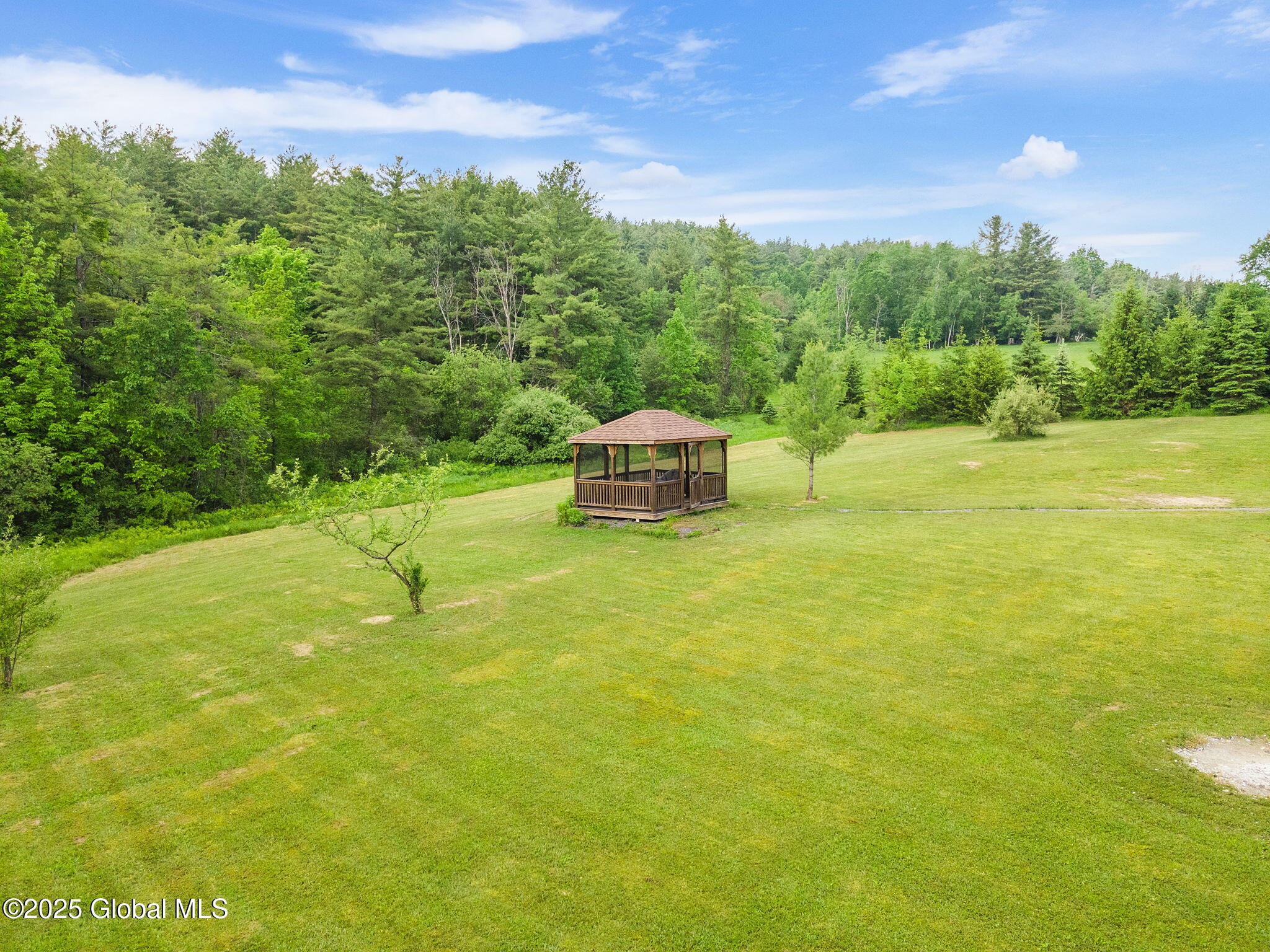 131 Abrams Road, Berne, New York image 28