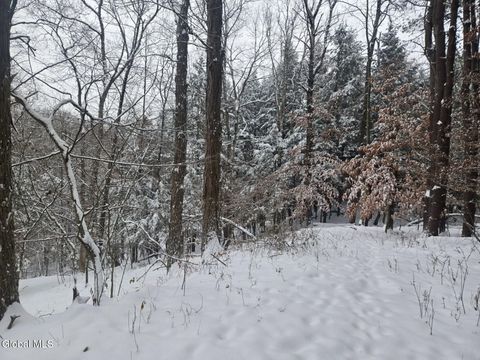 Photo of L10 Rouse Road, Fort Plain, NY 13339 (MLS # 202530796)