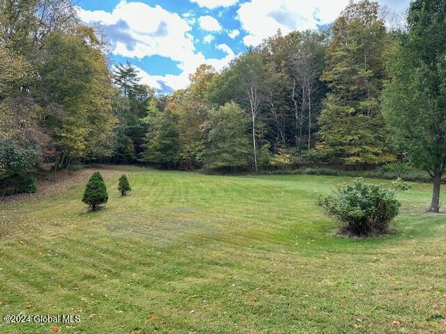 37 Gedney Hill Road, Coeymans Hollow, New York image 36