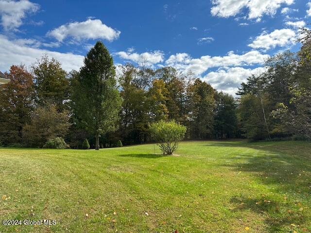 37 Gedney Hill Road, Coeymans Hollow, New York image 34