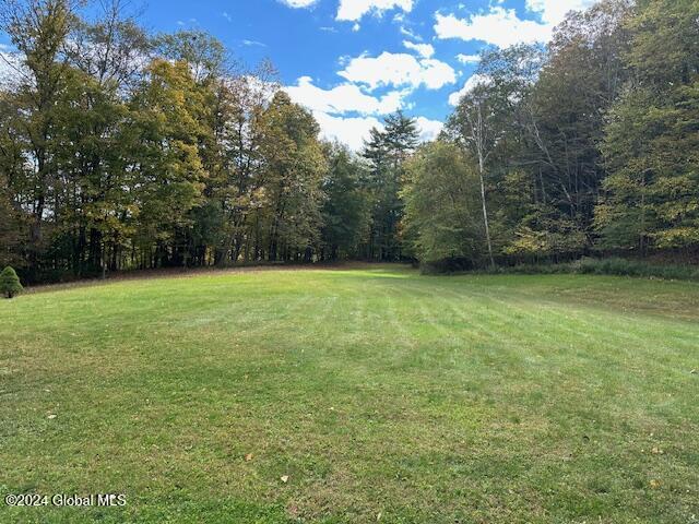 37 Gedney Hill Road, Coeymans Hollow, New York image 35