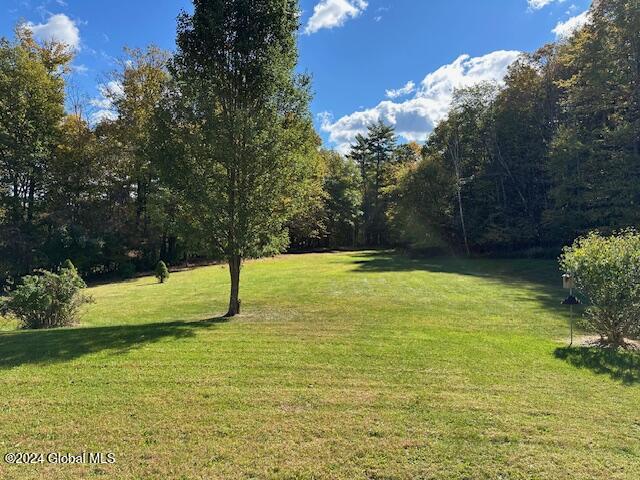 37 Gedney Hill Road, Coeymans Hollow, New York image 38