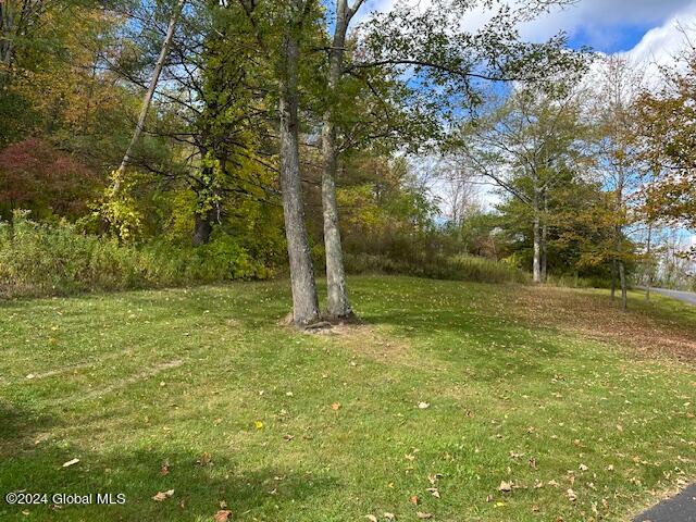 37 Gedney Hill Road, Coeymans Hollow, New York image 33