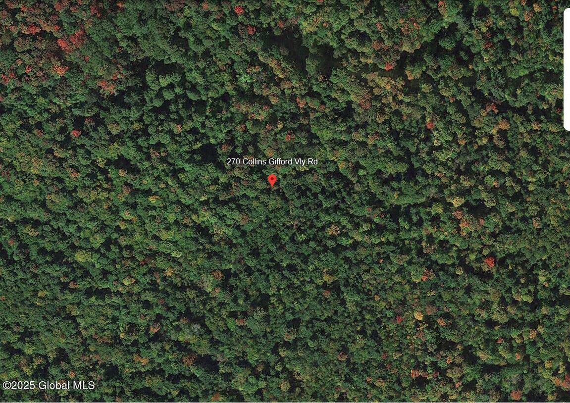270 Collins Gifford Valley Road, Northville, New York image 1