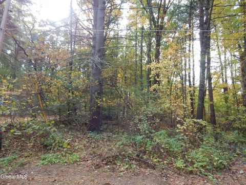 Photo of 0 Vincek Lane, Saratoga Springs, NY 12866 (MLS # 202528535) Photo of 0 Vincek Lane, Saratoga Springs, NY 12866 (MLS # 202528535)