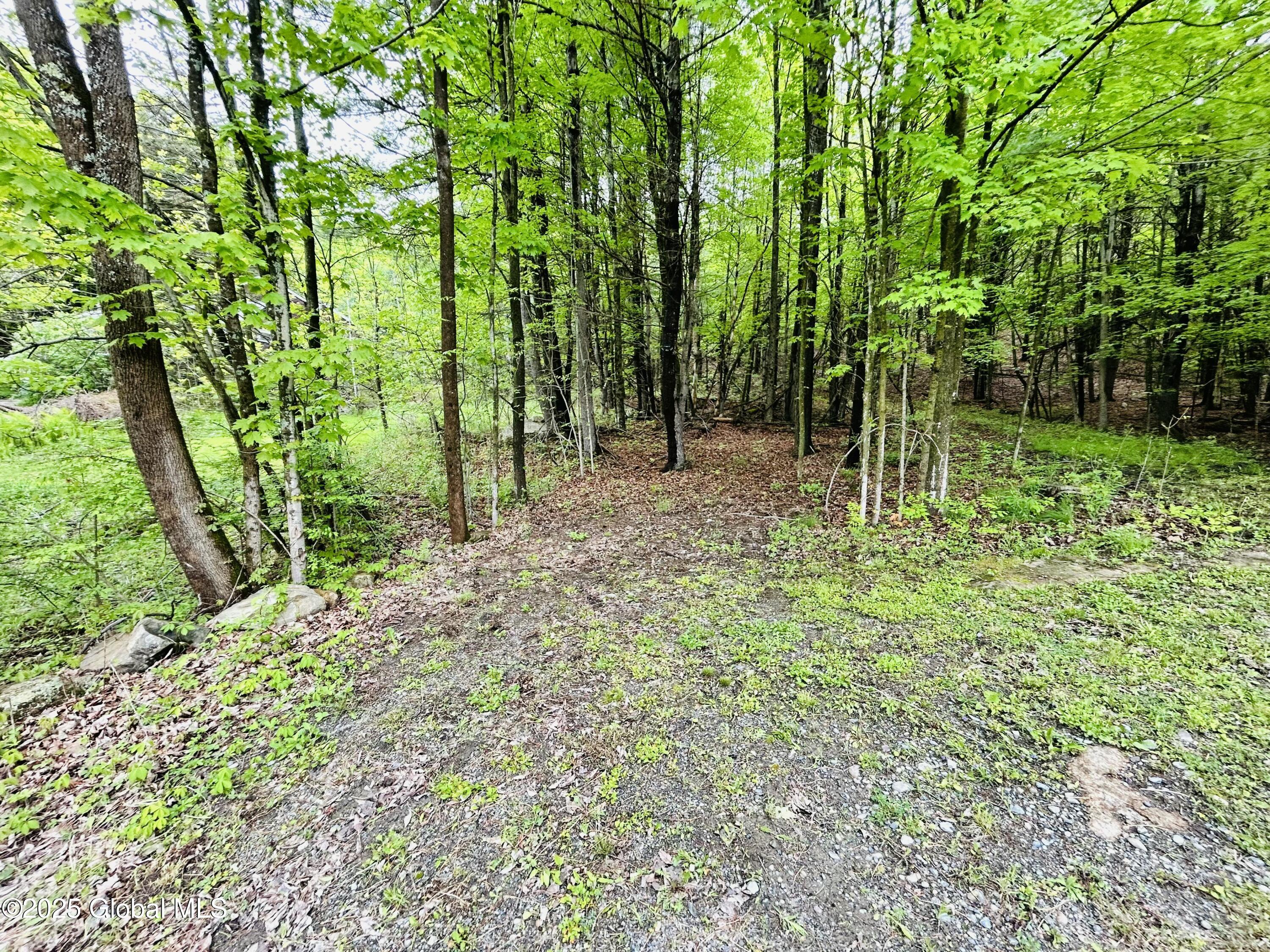 981 New Hague Road, Hague, New York image 22