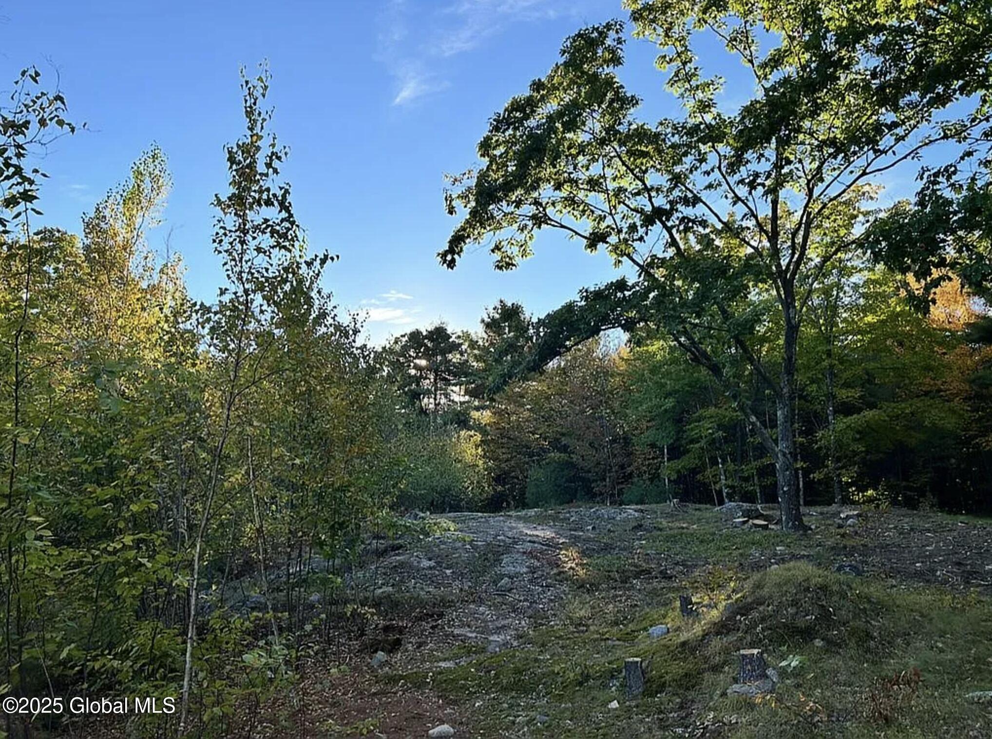 981 New Hague Road, Hague, New York image 20