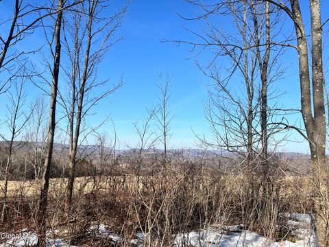 Vacant Land For Sale - Cross Hill Road<br/> Richmondville, NY 12149