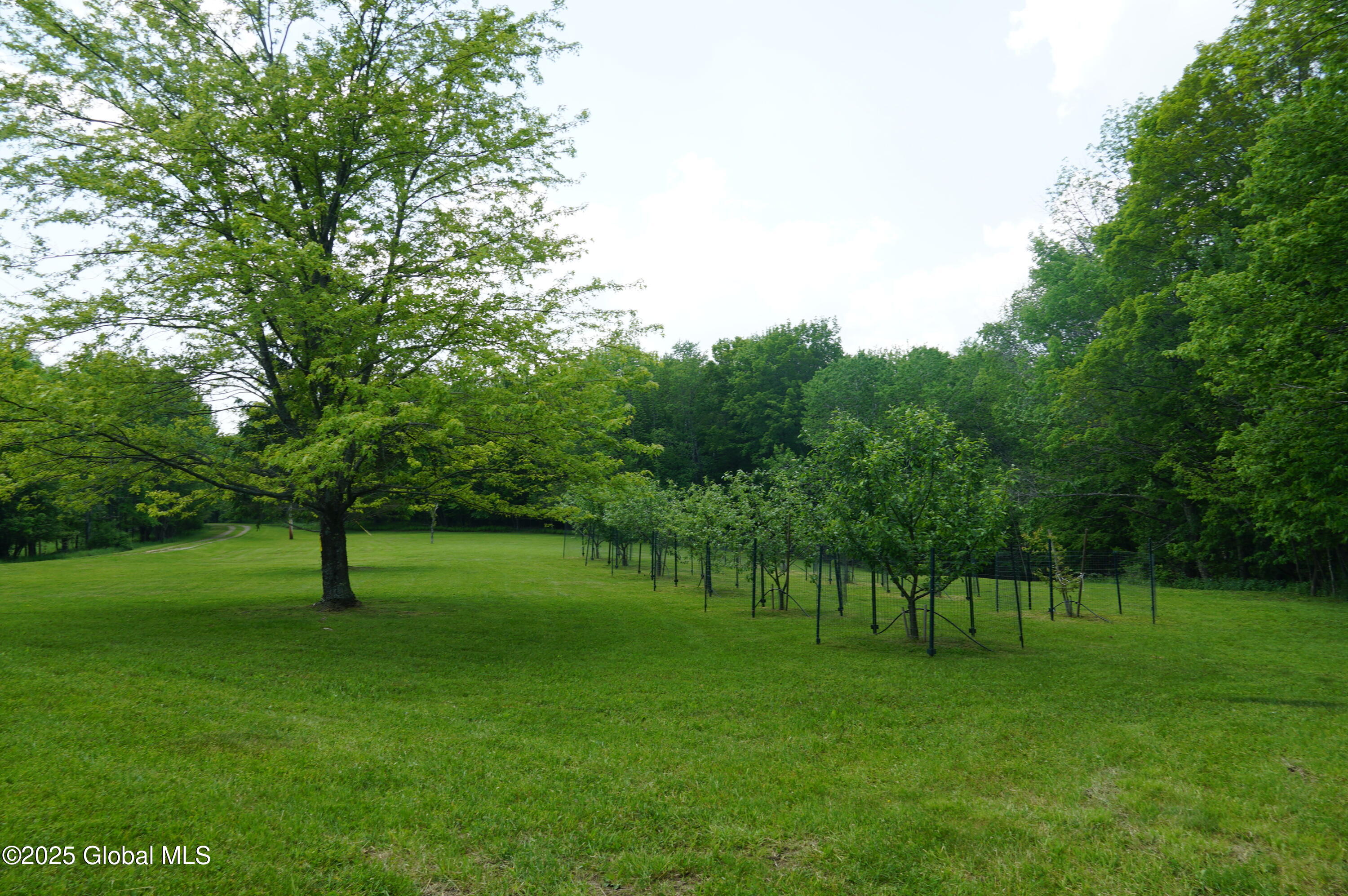 127 Fern Lane, Jefferson, New York image 16