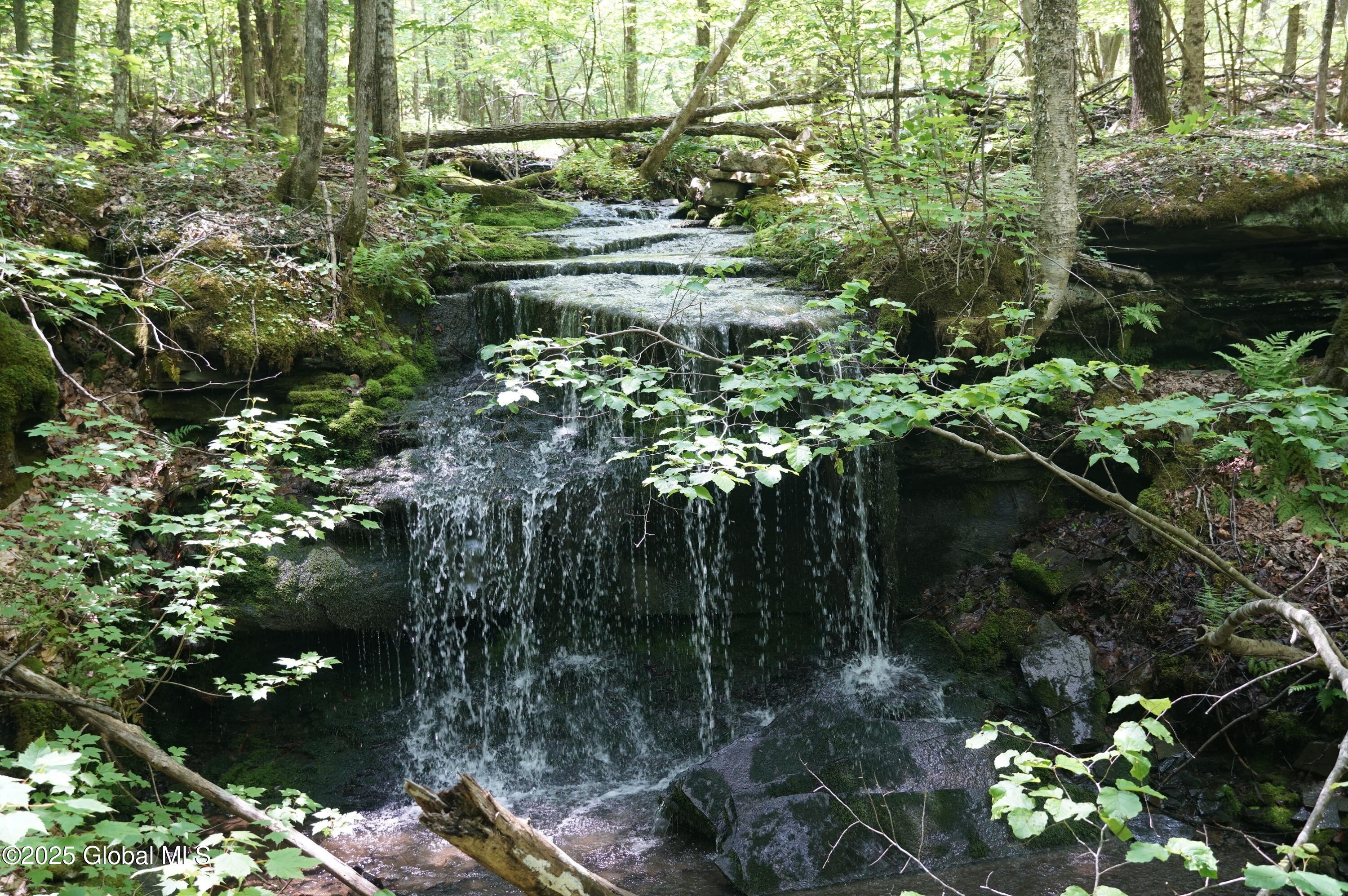 127 Fern Lane, Jefferson, New York image 11