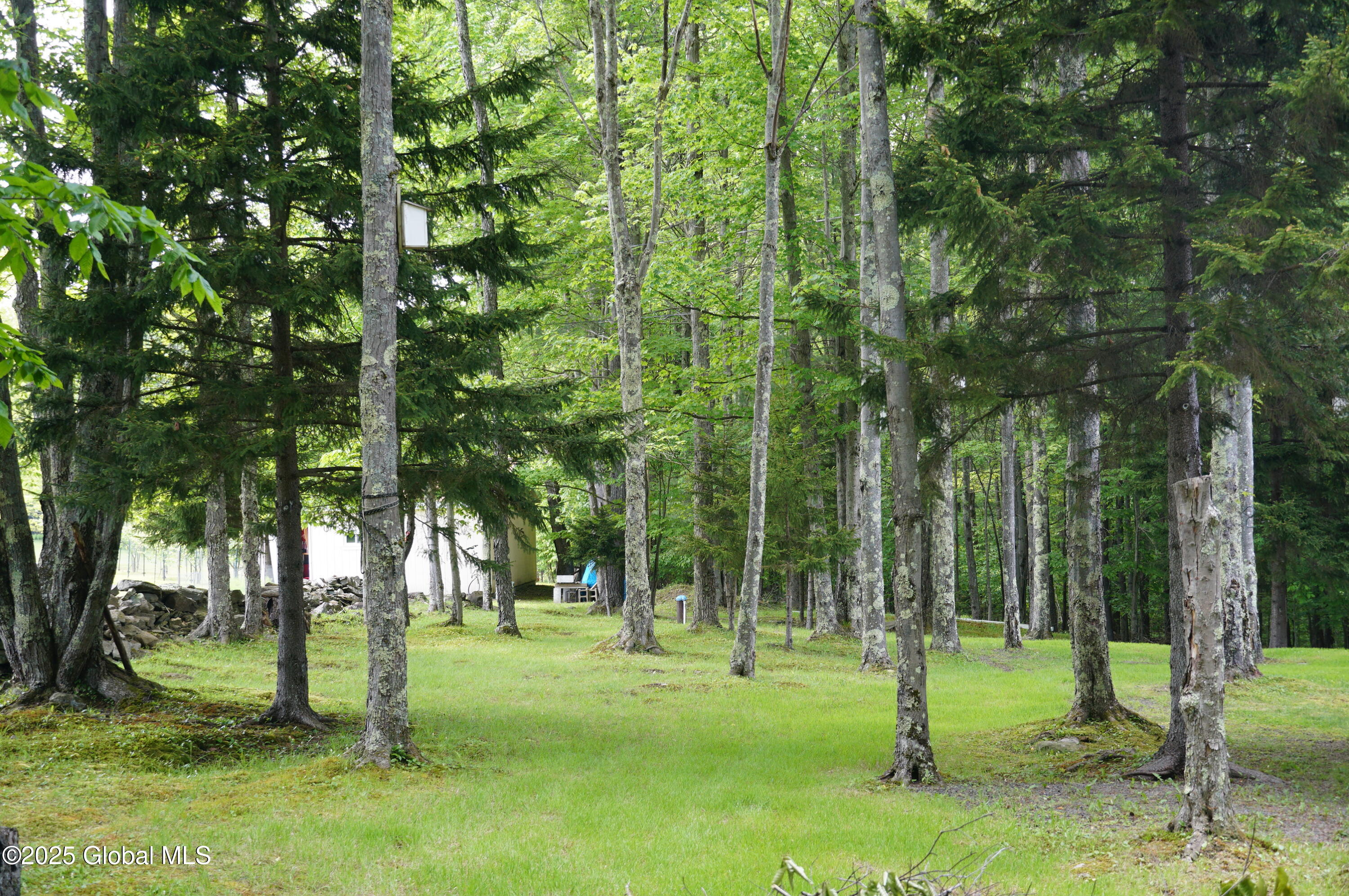 127 Fern Lane, Jefferson, New York image 17