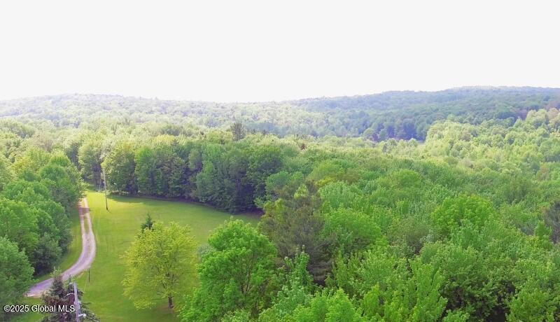 127 Fern Lane, Jefferson, New York image 14