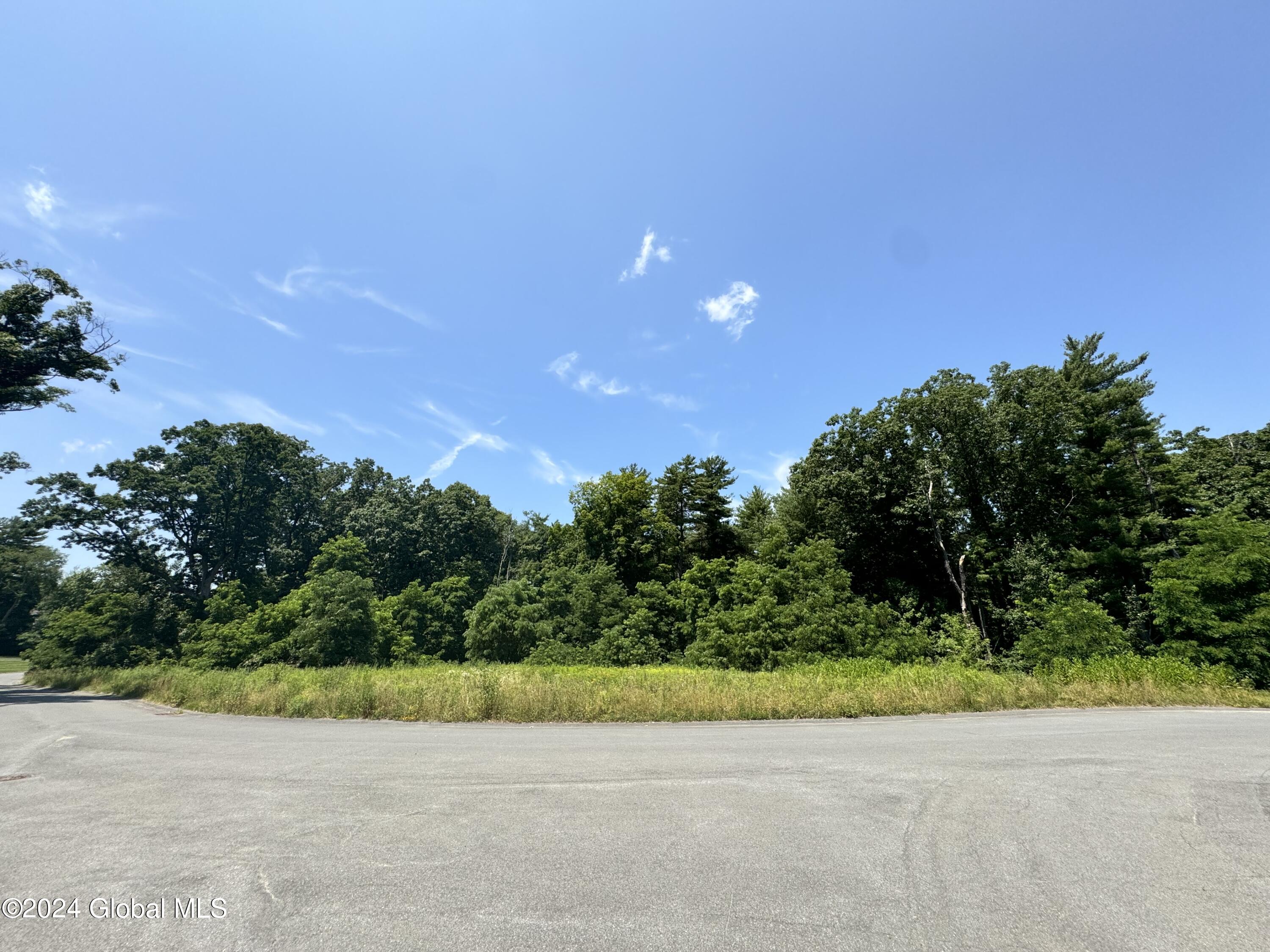 4 Takken Kill Road, Latham, New York image 6