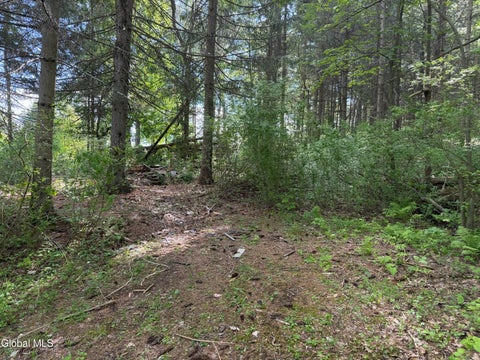 Vacant Land For Sale - 6067 State Route 81<br/> Greenville, NY 12083