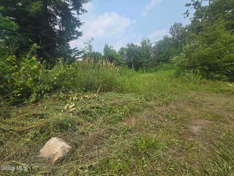 Vacant Land For Sale - L5 Hickory Hill Road<br/> Fort Plain, NY 13339