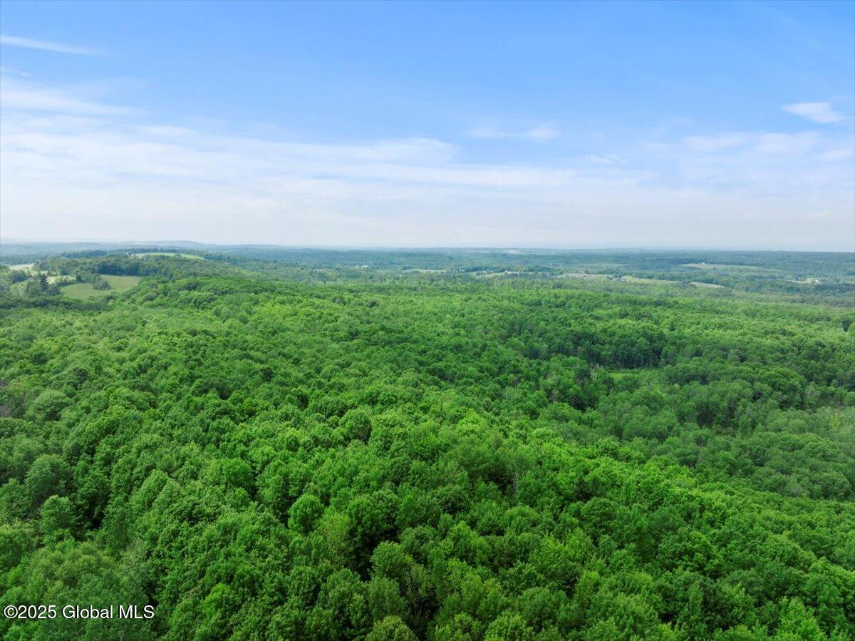 155 Andrews Road, Sloansville, New York image 46