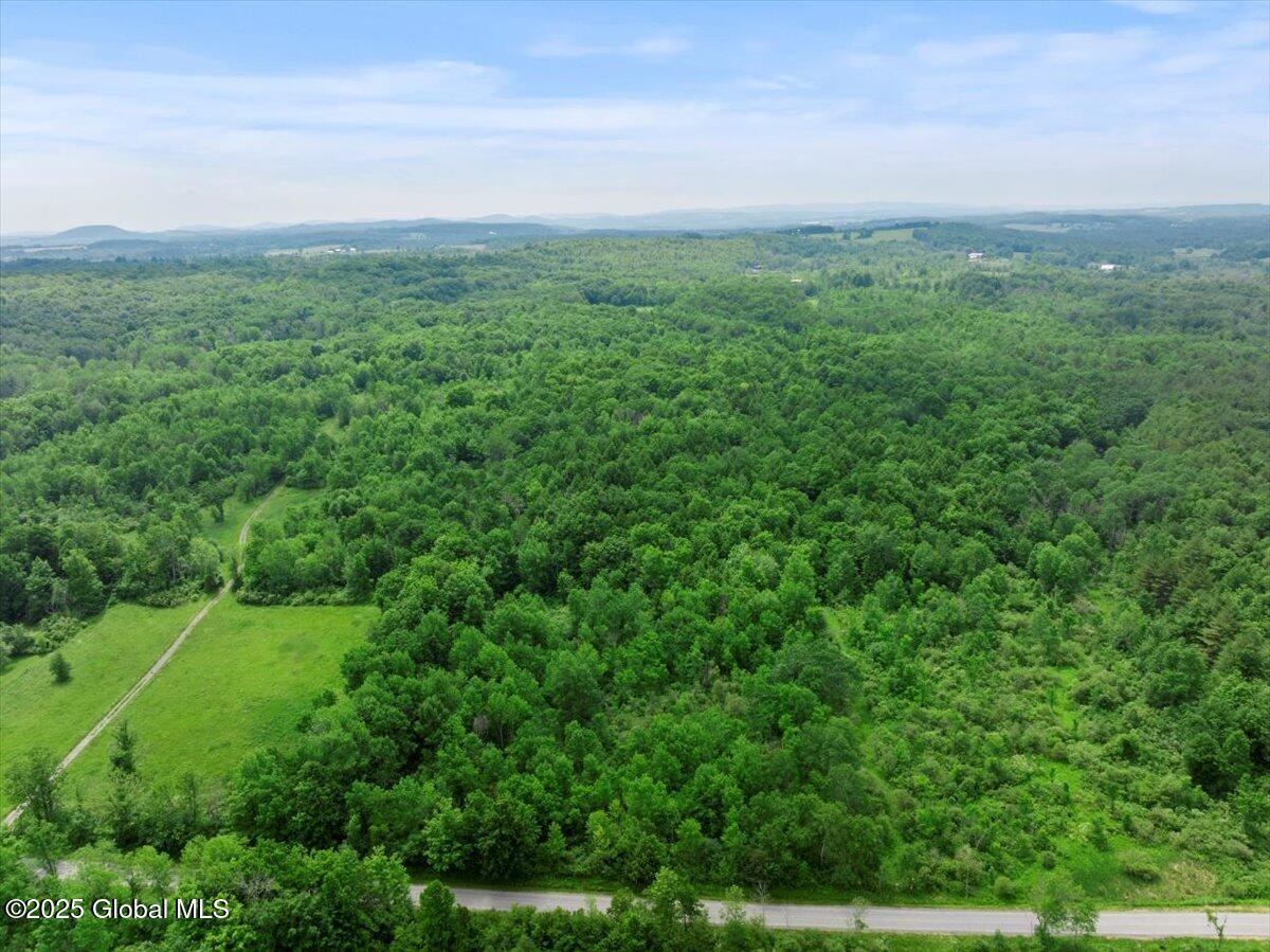 155 Andrews Road, Sloansville, New York image 41