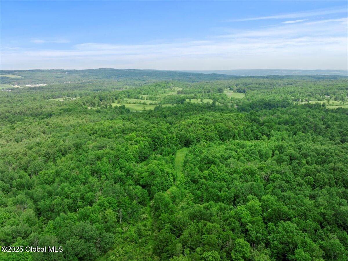 155 Andrews Road, Sloansville, New York image 40