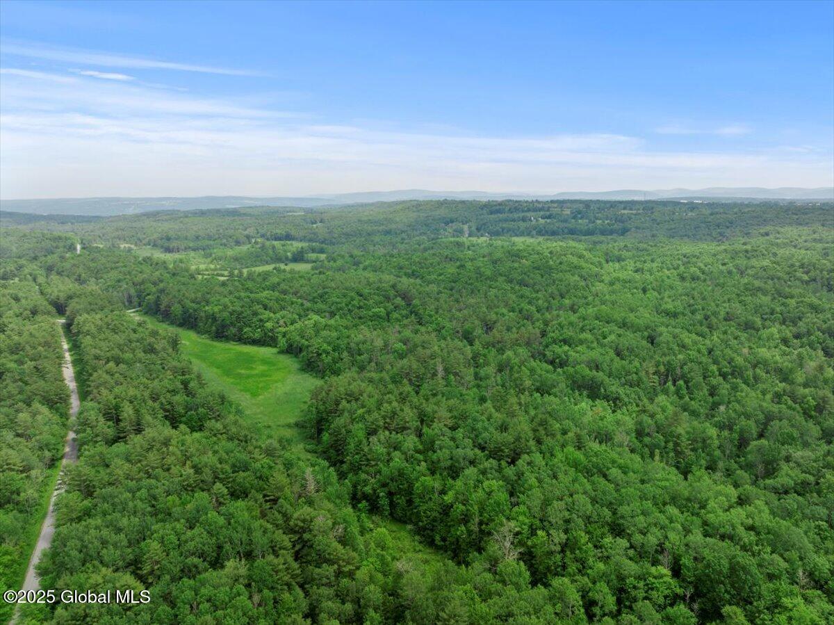 155 Andrews Road, Sloansville, New York image 38