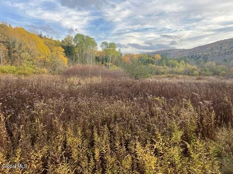 Photo of L8 Sawyer Hollow Road, Richmondville, NY 12149 (MLS # 202528116)