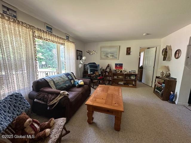261 Chipmunk Lane, Moriah, New York image 18