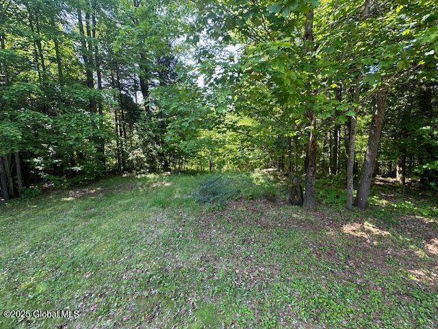 261 Chipmunk Lane, Moriah, New York image 5