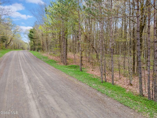 420 HAKES CALHOUN DAVIS RD, PITCHER, NY 13136 - Image 7aeaddd00fdf2ff05182e0a62ff90b1f/1148087305