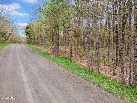 Vacant Land For Sale - L20 Hakes Calhoun Road<br/> Chenango County, Pitcher, NY 13136