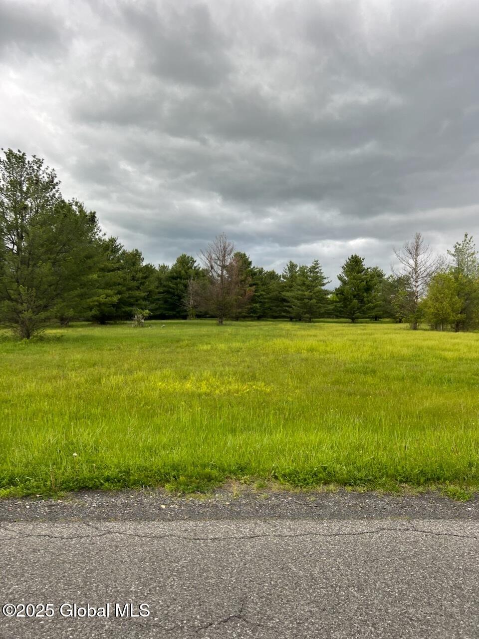 L54 Meadowbrook Lane, Greenville, New York image 1