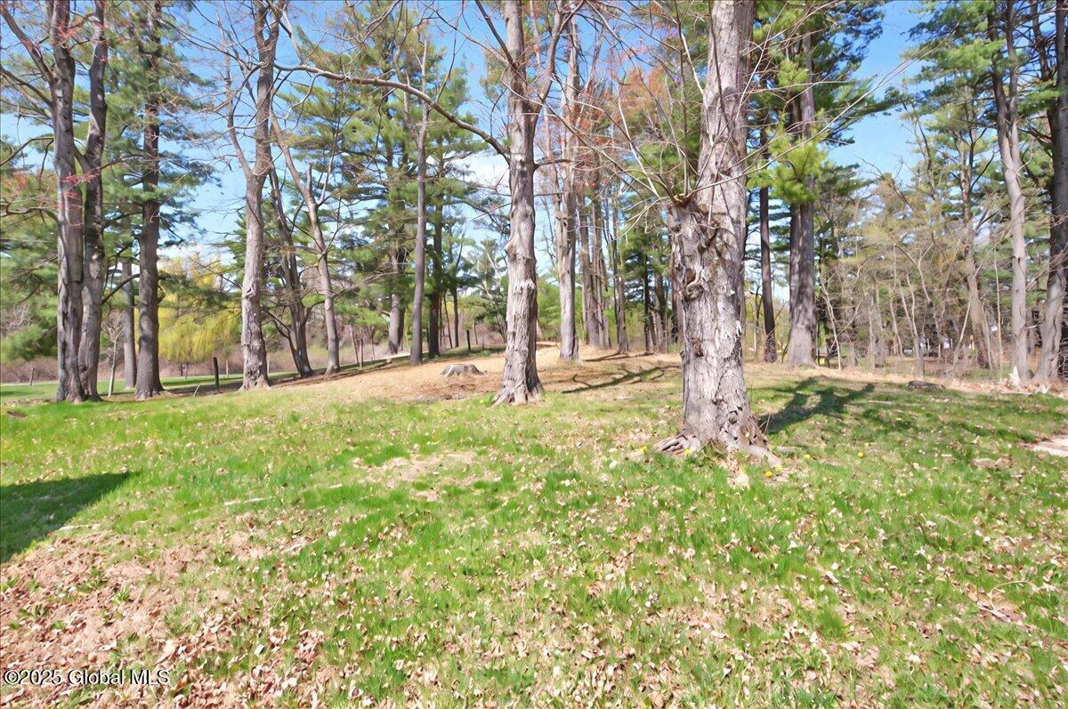 213 Elm Avenue #EAST, Selkirk, New York image 31