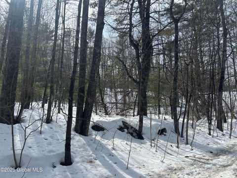 Vacant Land For Sale - L26 Hogback Road<br/> Crown Point, NY 12928