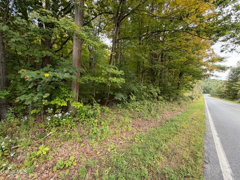 Photo of 1542 CR 21, Whitehall, NY 12887 (MLS # 202626517)