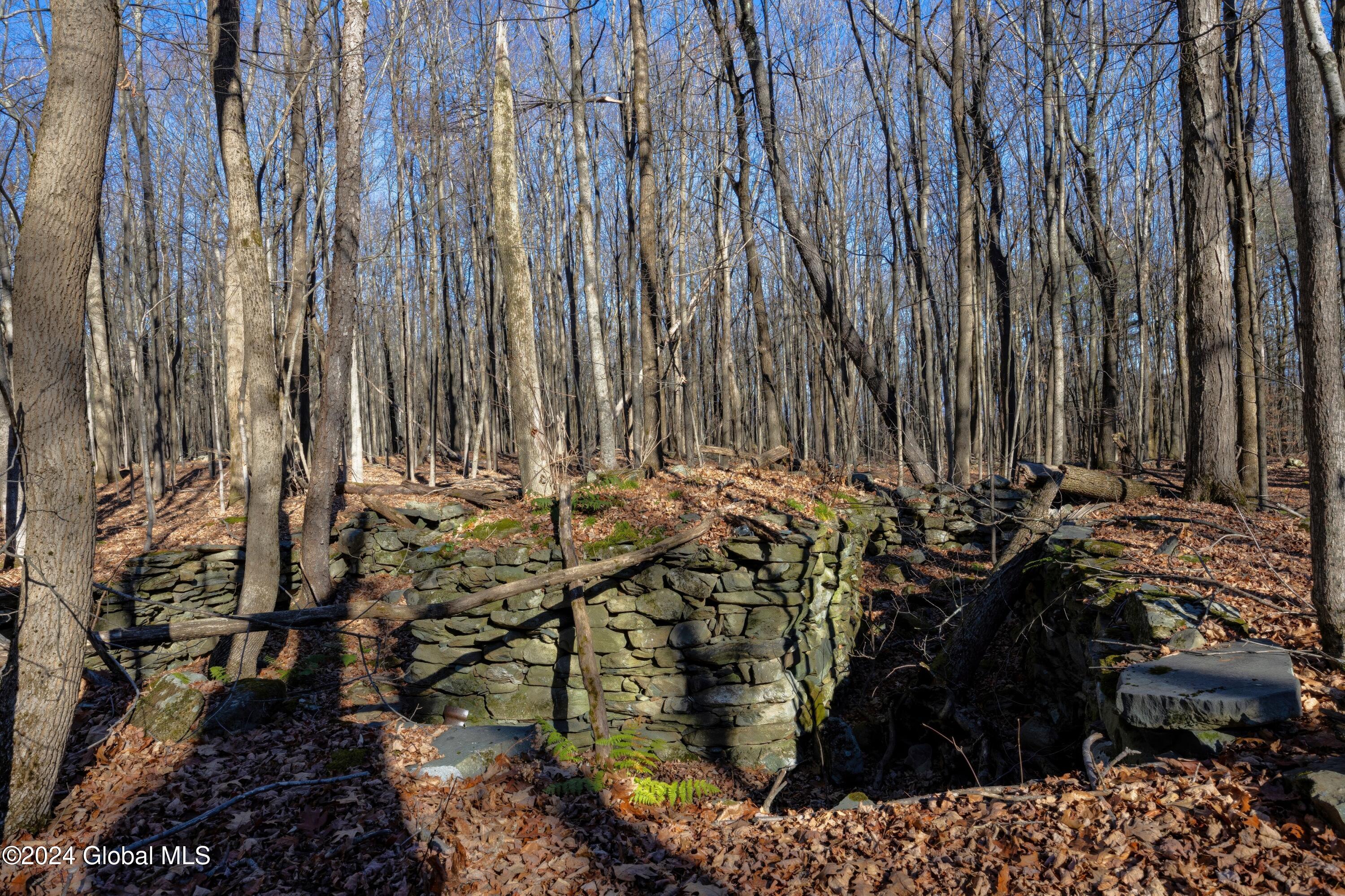 Lot 2 Fire Tower Road, Grafton, New York image 4