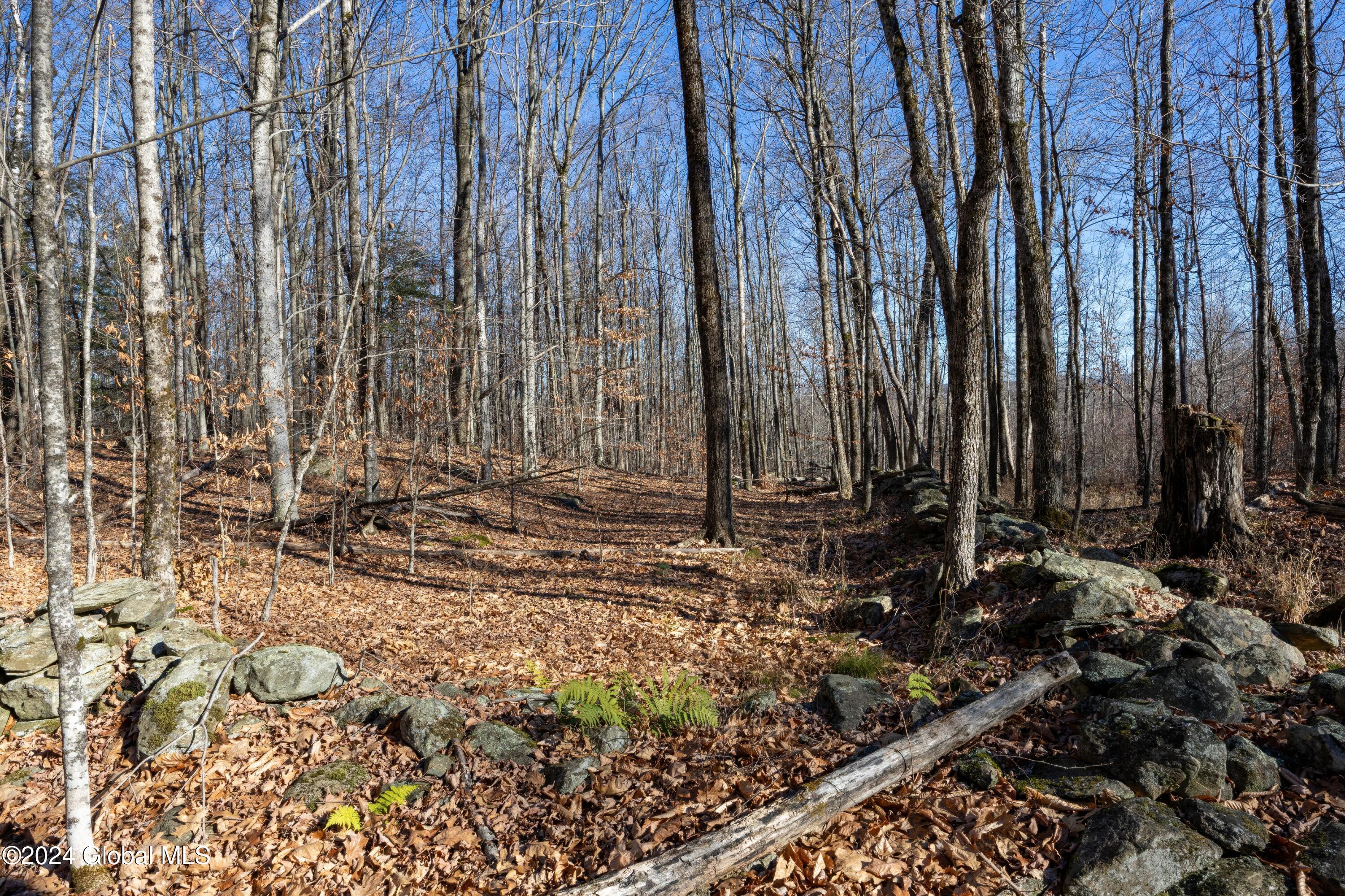 Lot 2 Fire Tower Road, Grafton, New York image 15