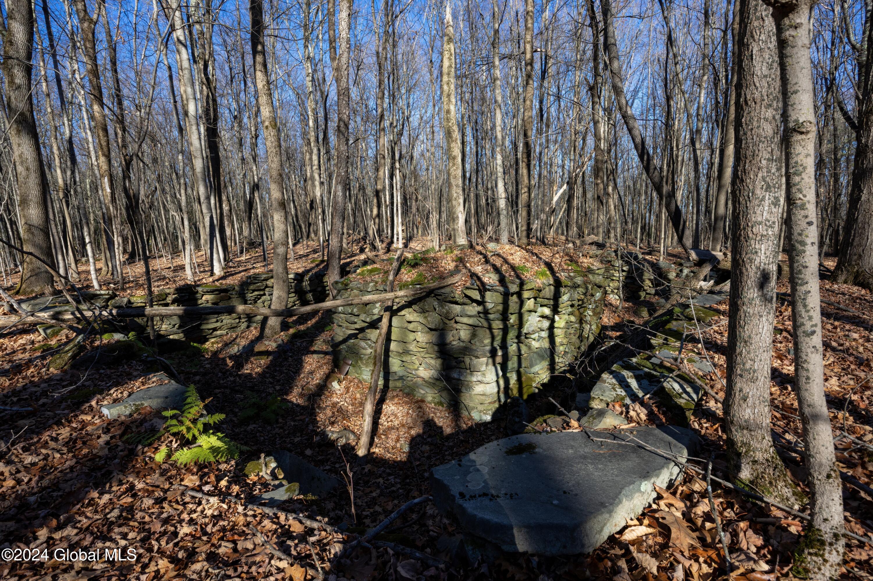 Lot 2 Fire Tower Road, Grafton, New York image 5