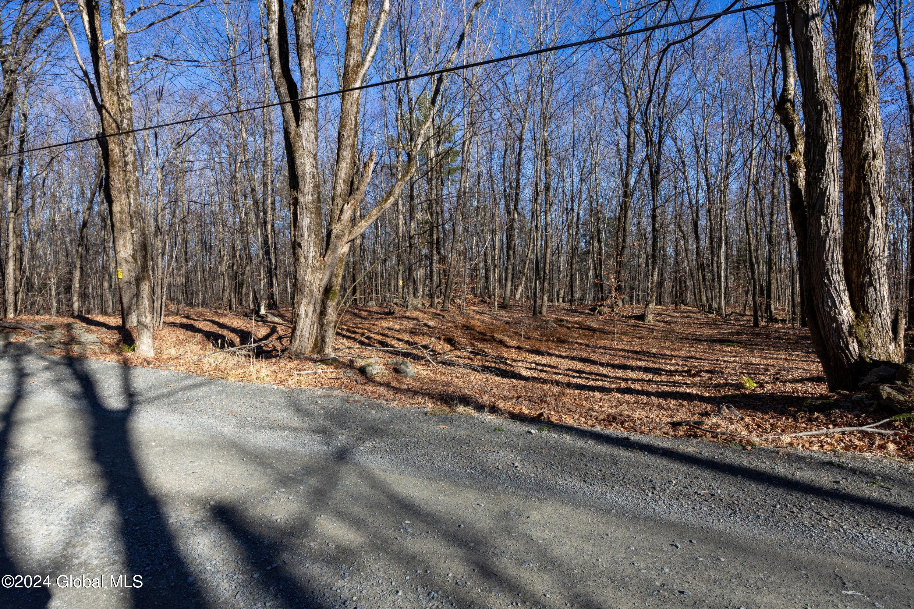 Lot 2 Fire Tower Road, Grafton, New York image 9