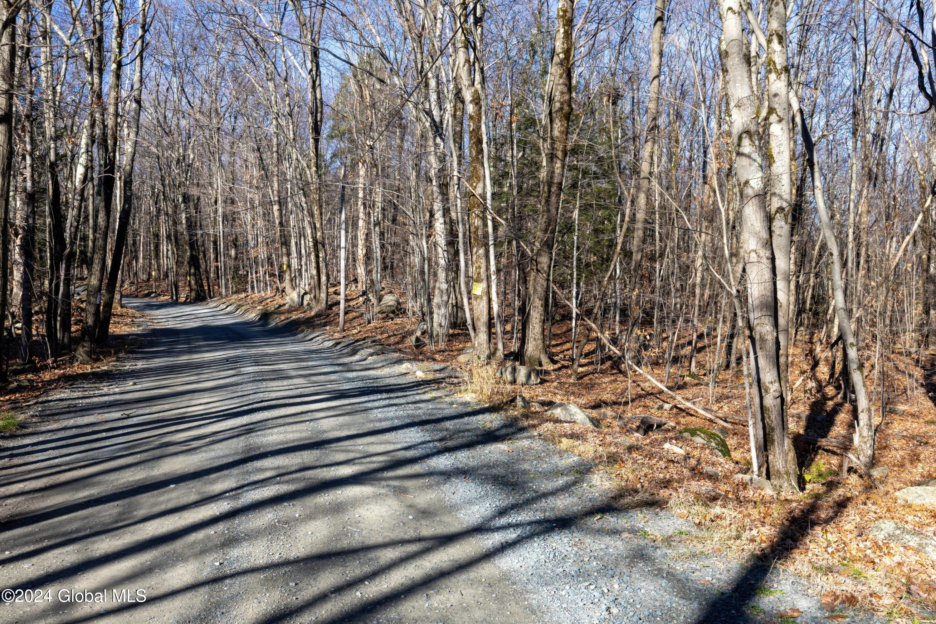 Lot 2 Fire Tower Road, Grafton, New York image 1