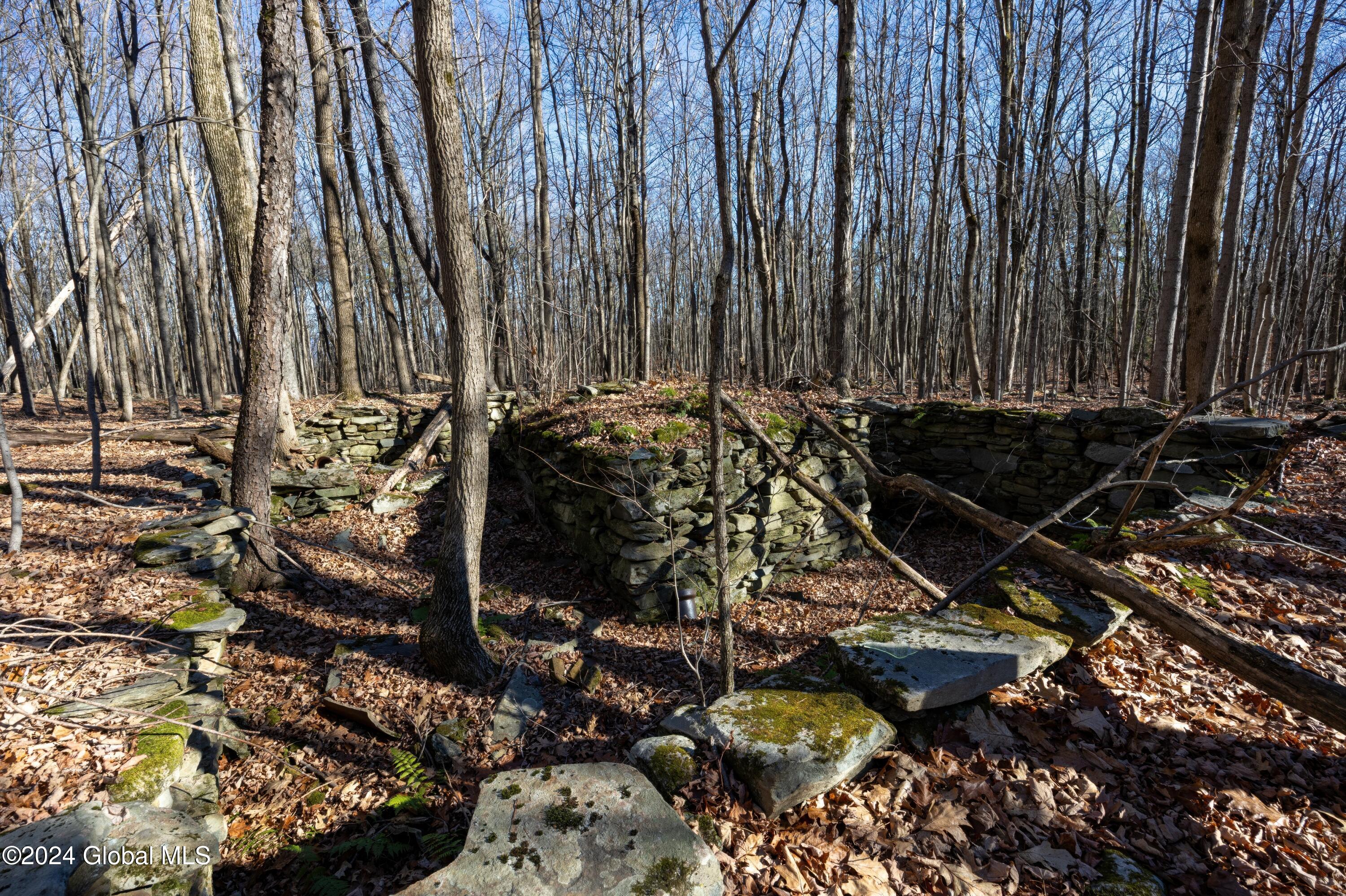 Lot 2 Fire Tower Road, Grafton, New York image 7