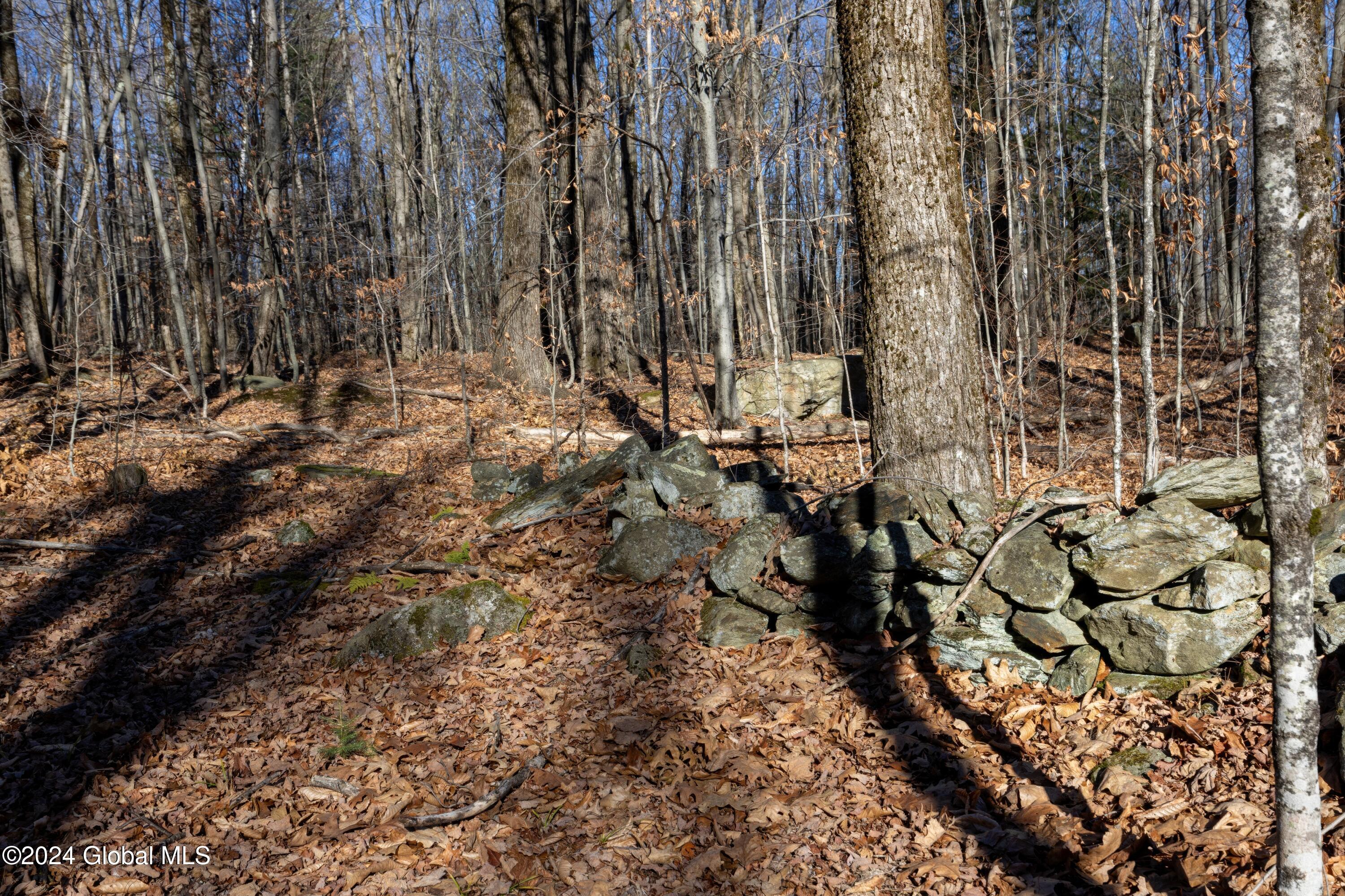 Lot 2 Fire Tower Road, Grafton, New York image 16