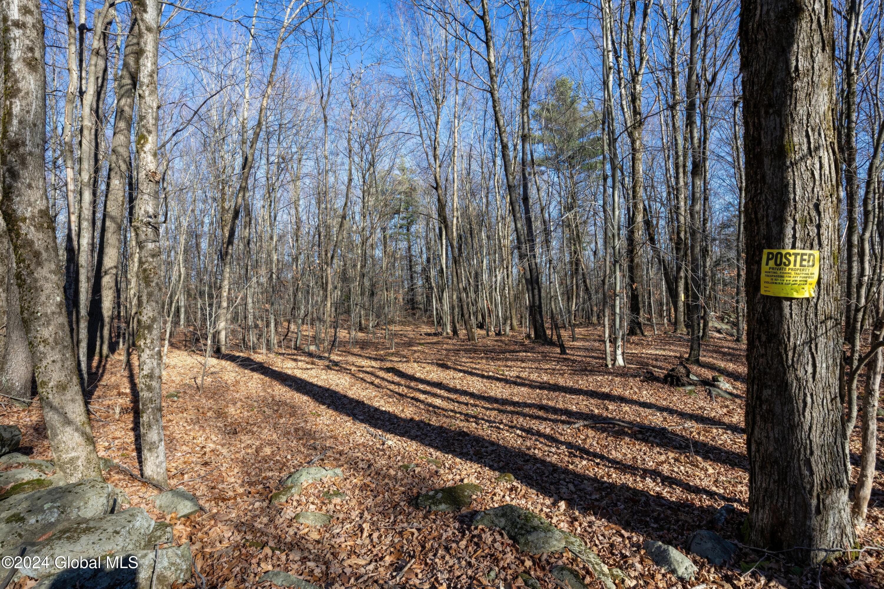 Lot 2 Fire Tower Road, Grafton, New York image 12