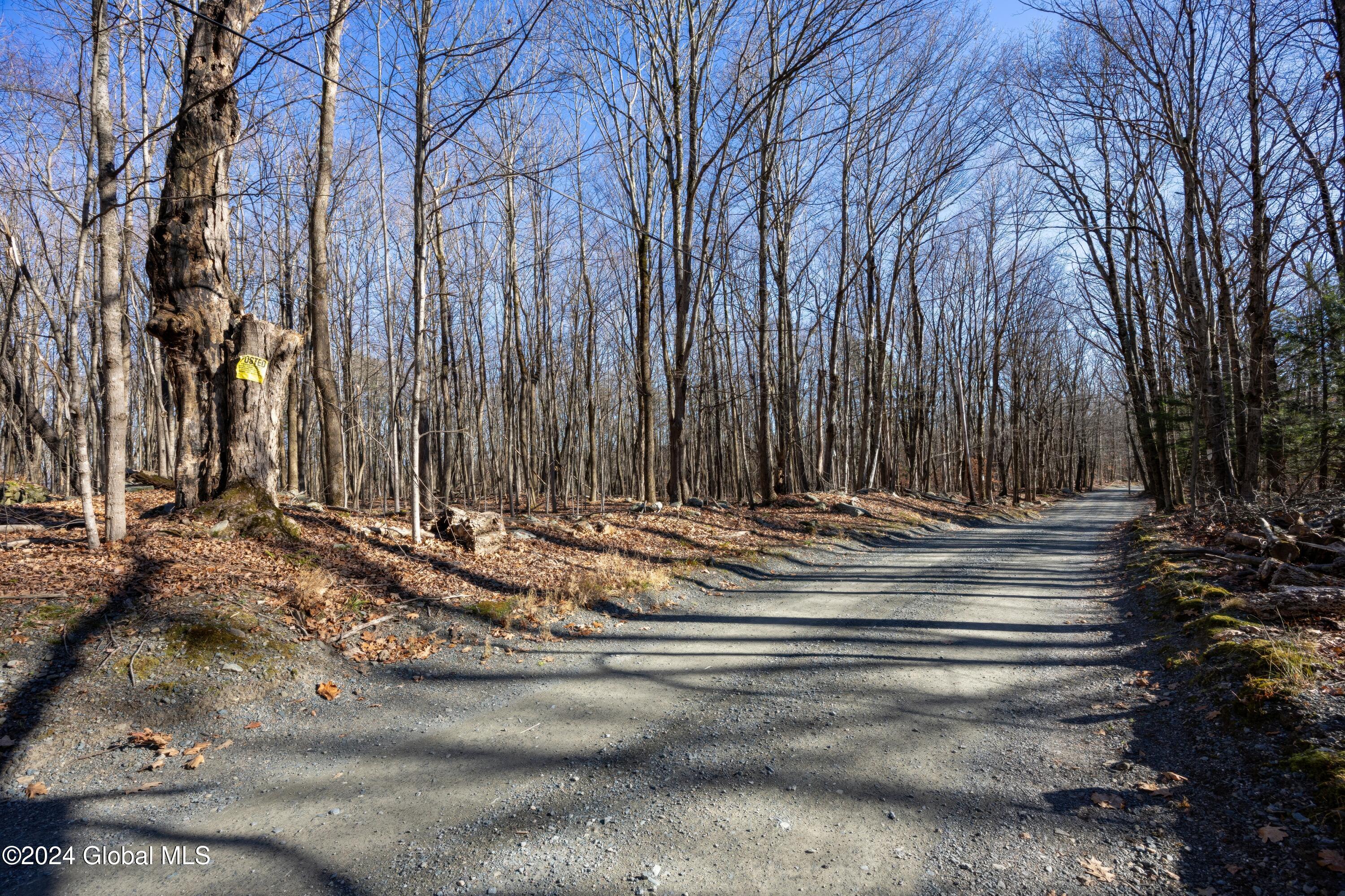 Lot 2 Fire Tower Road, Grafton, New York image 3