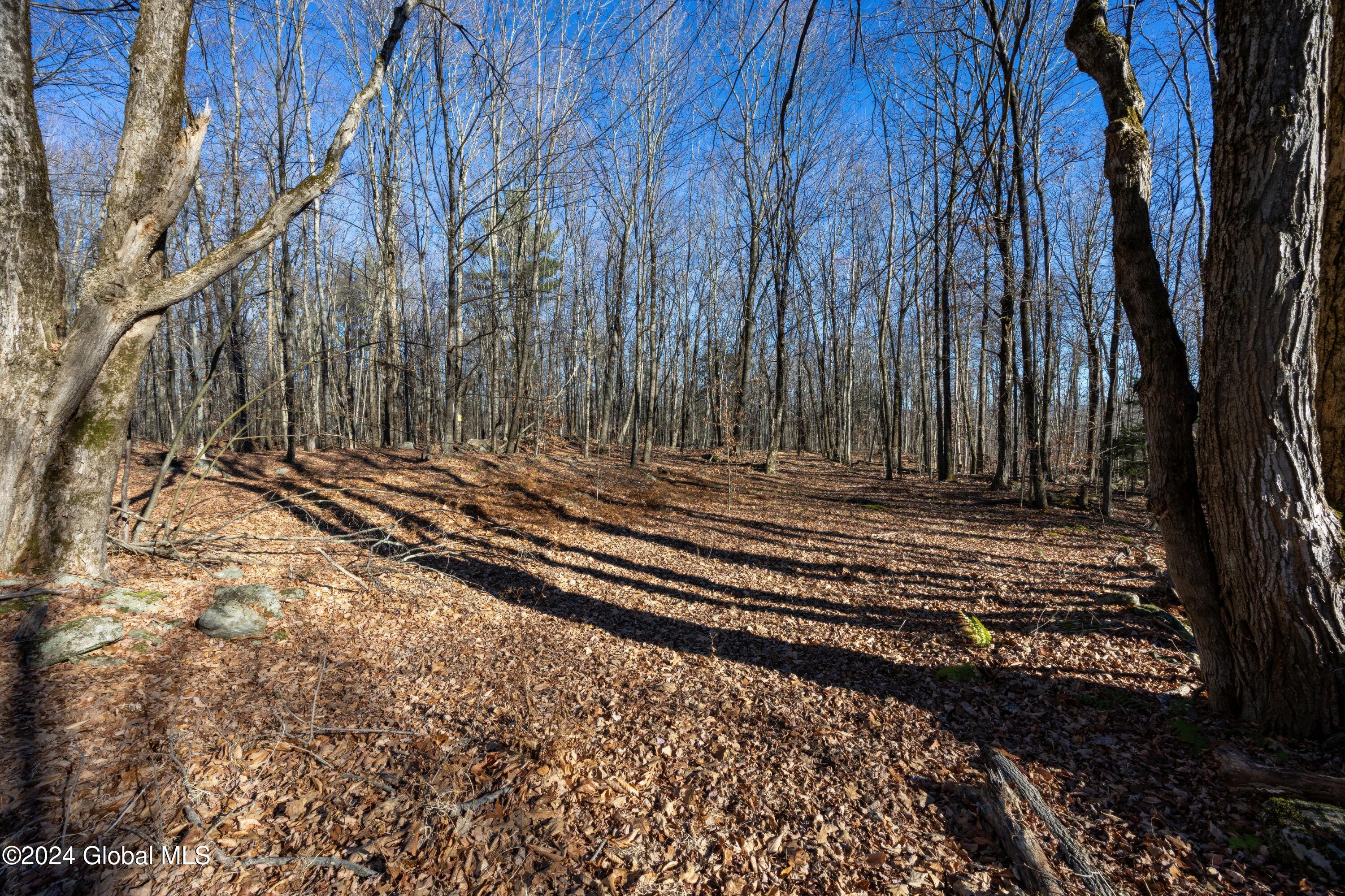 Lot 2 Fire Tower Road, Grafton, New York image 8