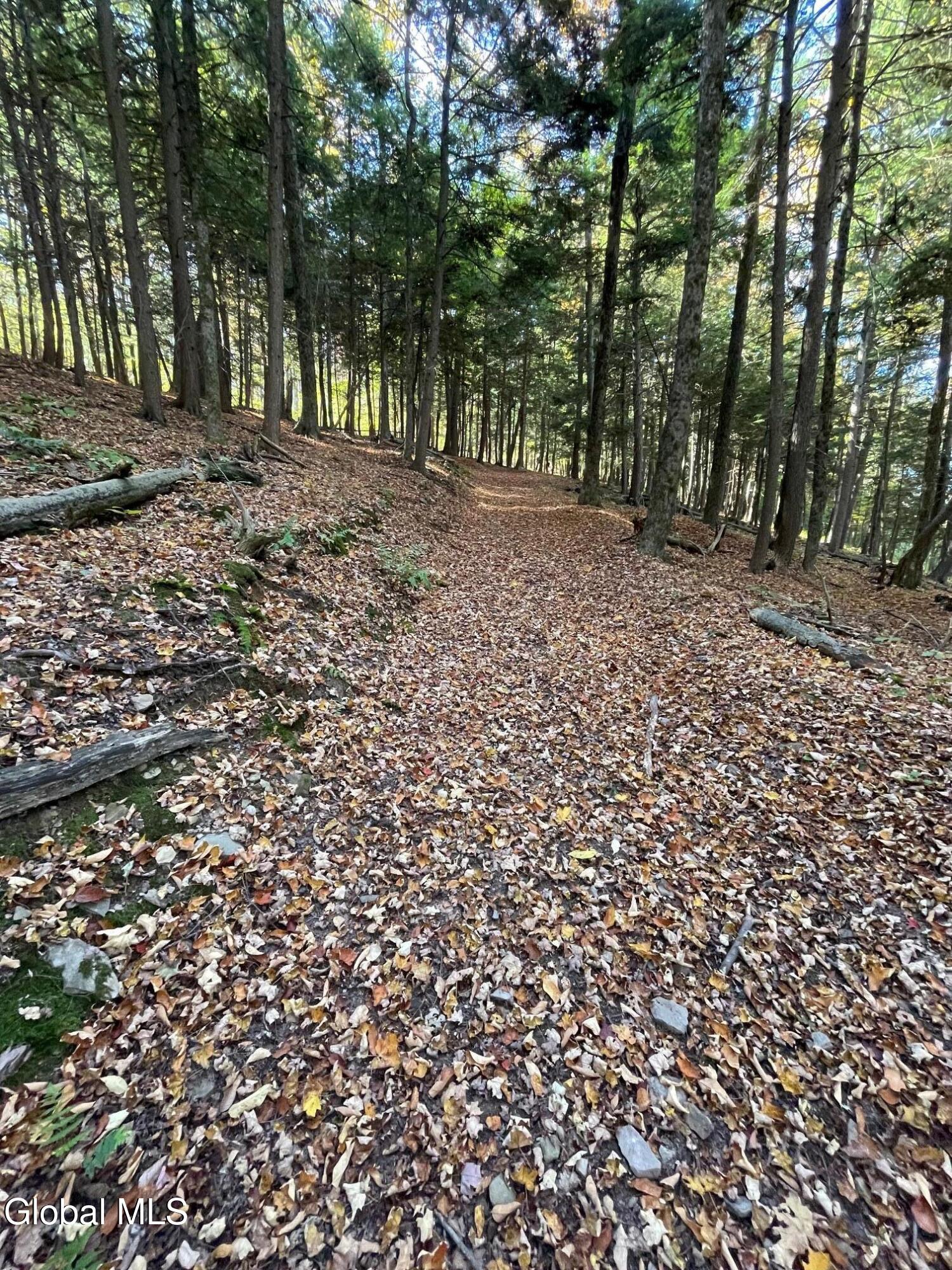 Cobleskill, New York 12043, United States, 3 Bedrooms Bedrooms, ,2 BathroomsBathrooms,Residential,Active,216319