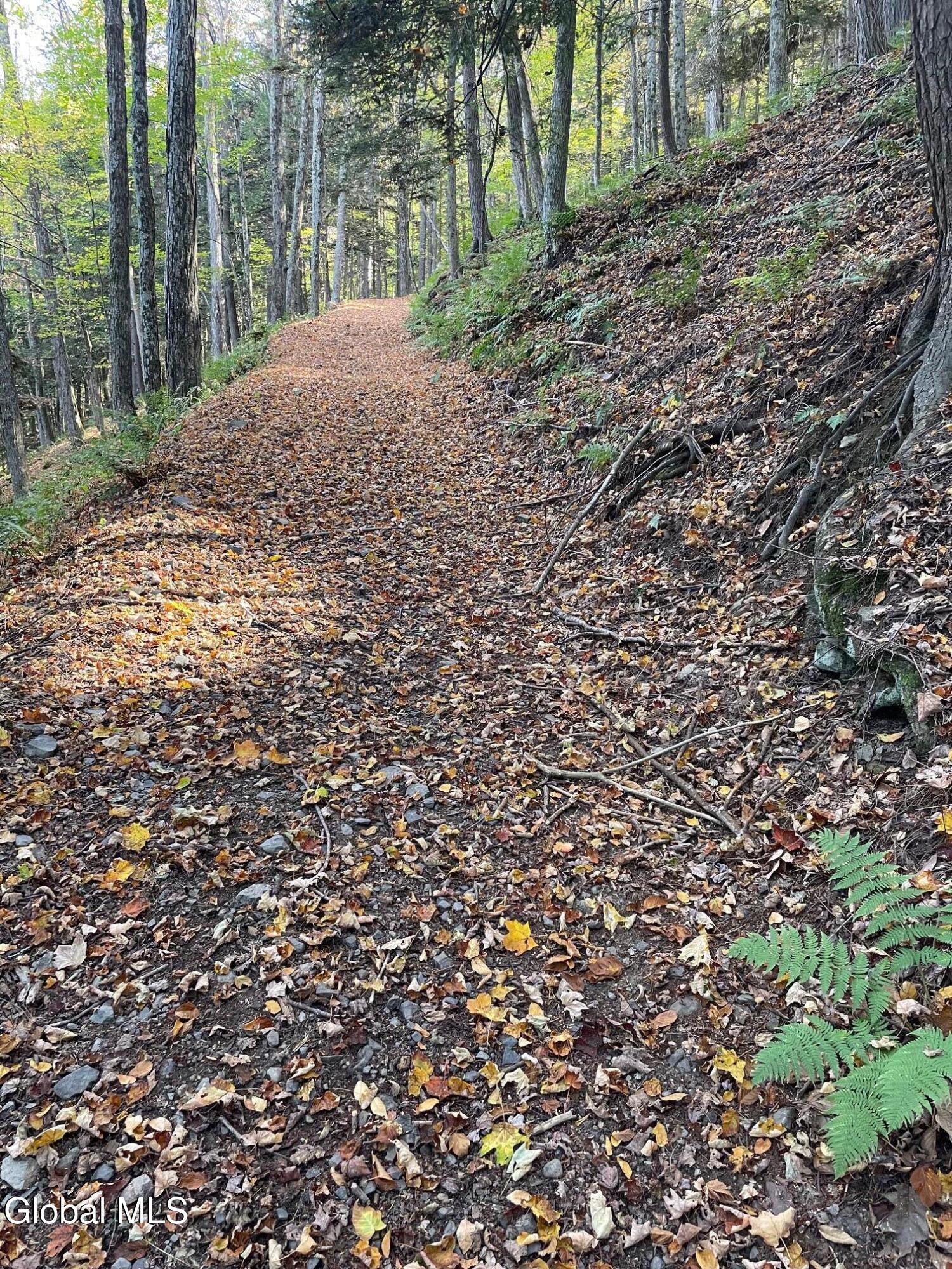 Cobleskill, New York 12043, United States, 3 Bedrooms Bedrooms, ,2 BathroomsBathrooms,Residential,Active,216319