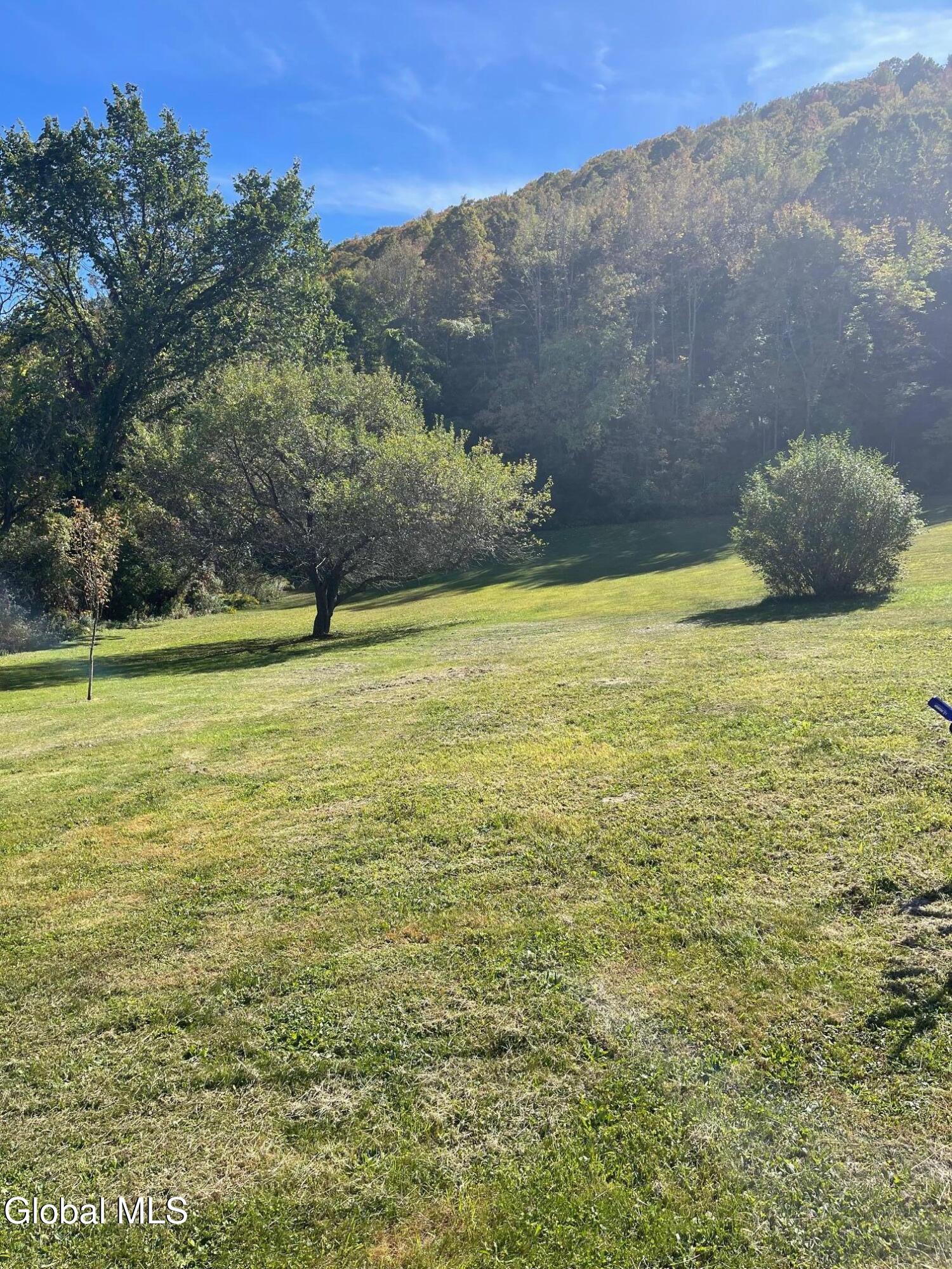 Cobleskill, New York 12043, United States, 3 Bedrooms Bedrooms, ,2 BathroomsBathrooms,Residential,Active,216319