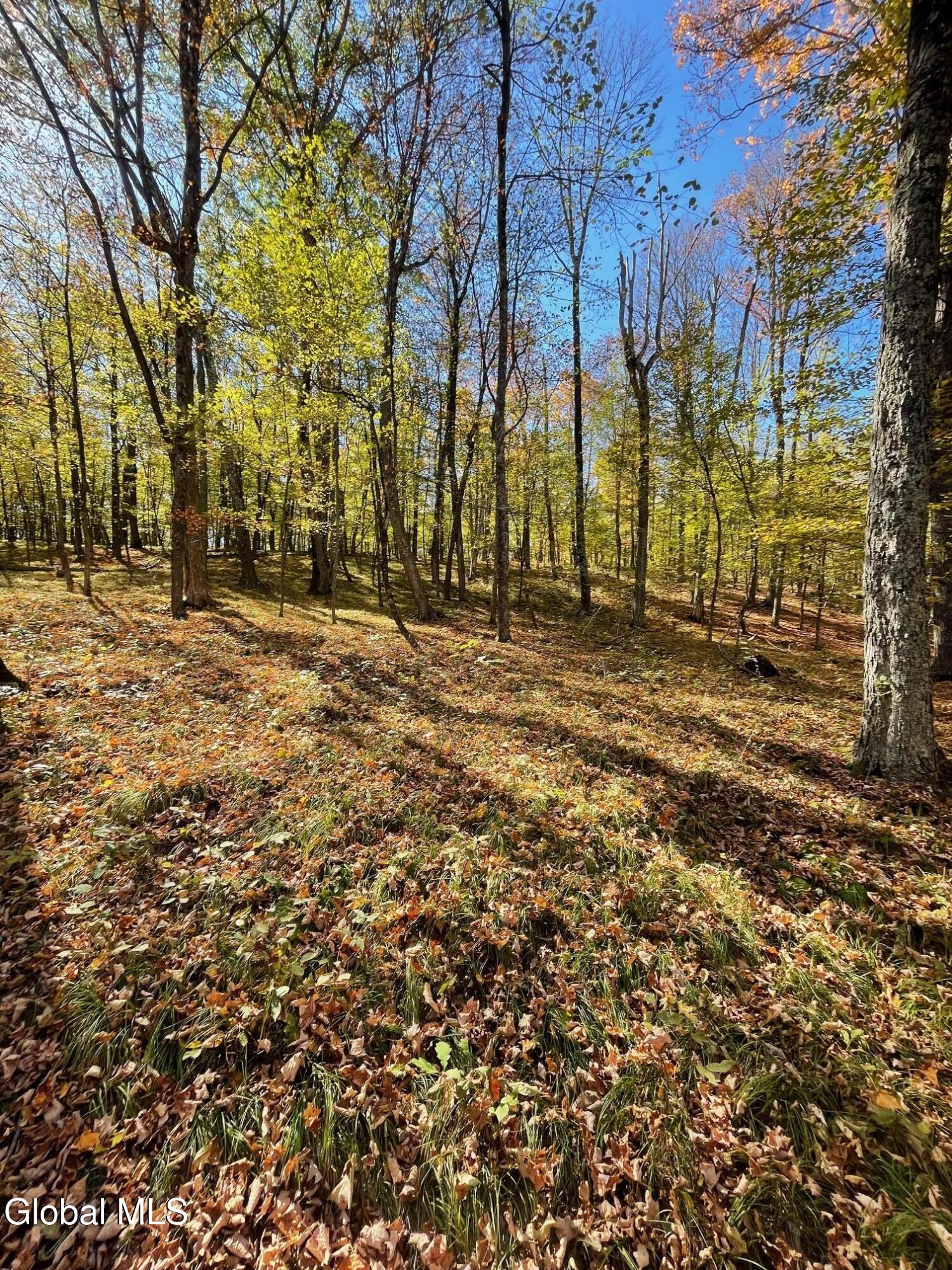 Cobleskill, New York 12043, United States, 3 Bedrooms Bedrooms, ,2 BathroomsBathrooms,Residential,Active,216319