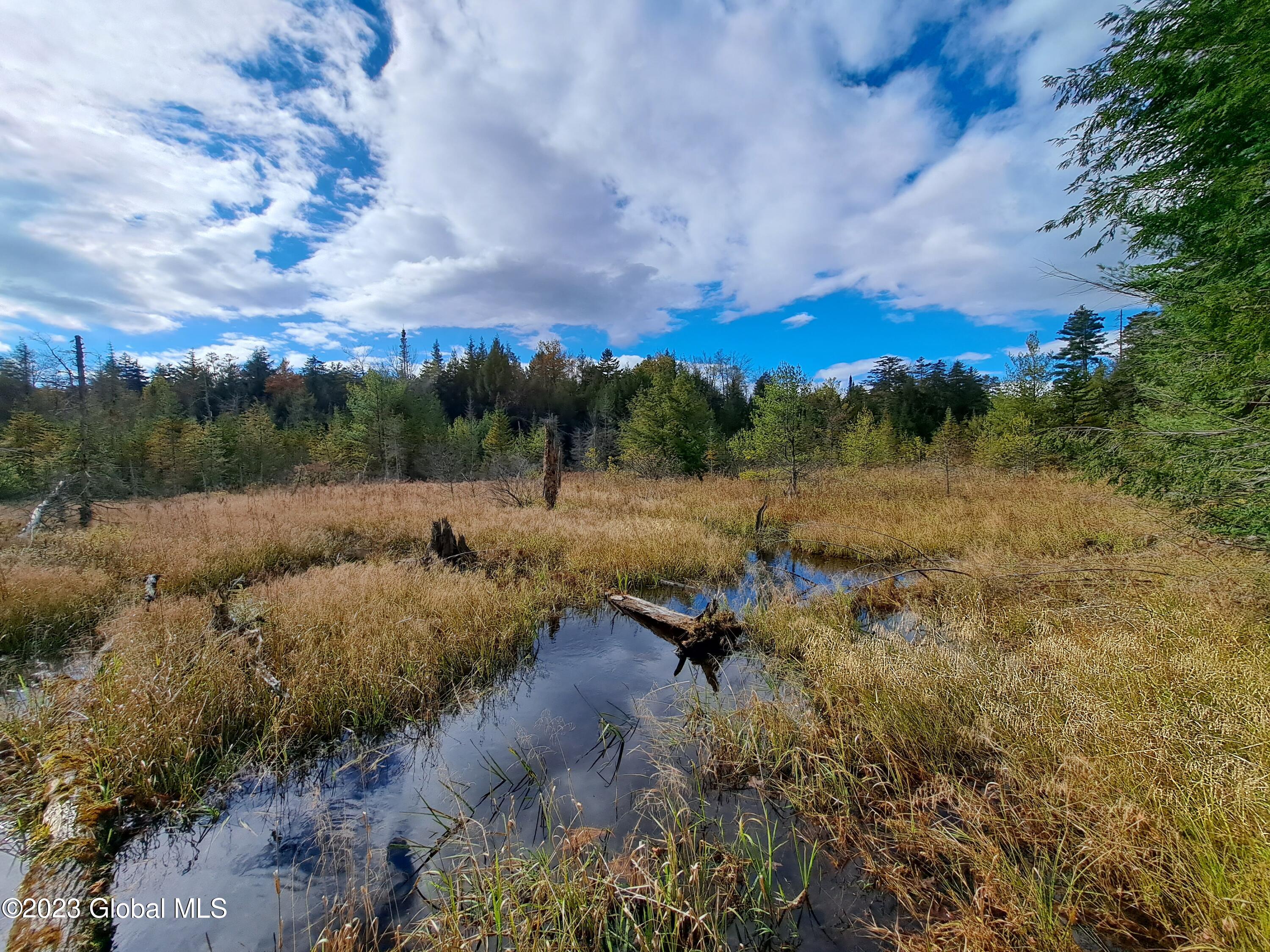 L 13.2 Friends Lake Road, Chestertown, New York image 49