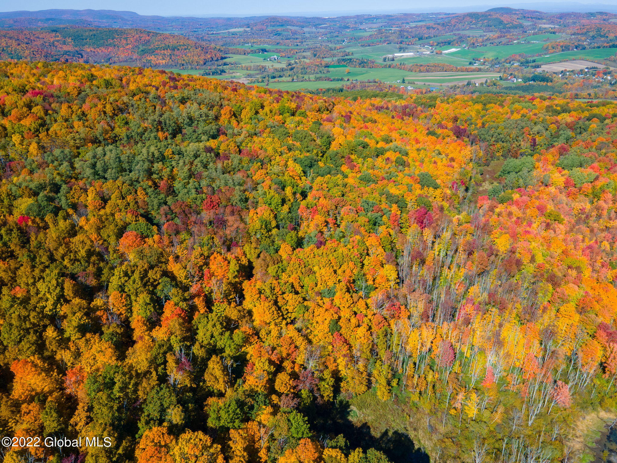 L10.23 Podpadic Road, Richmondville, New York image 40