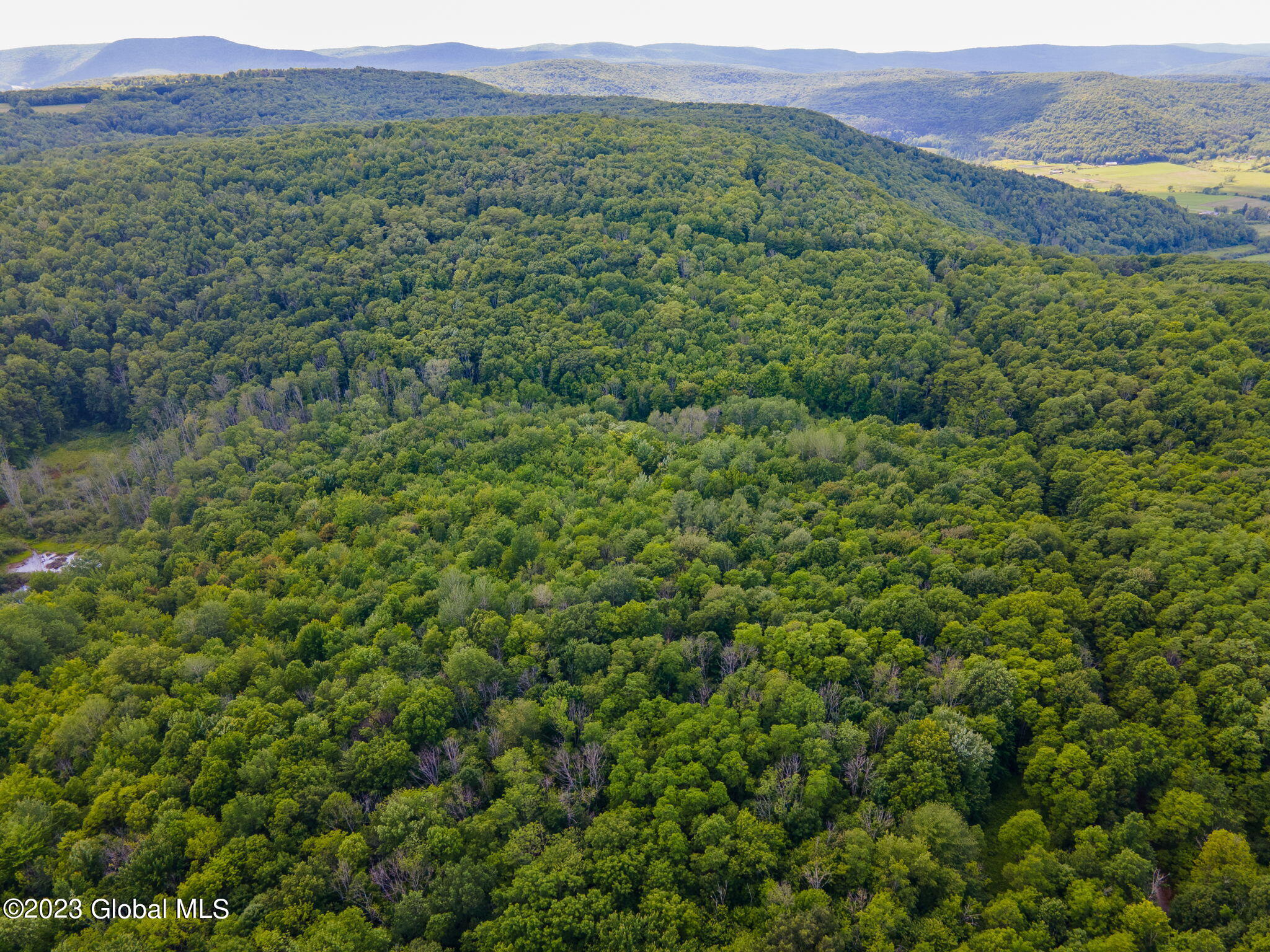 L10.23 Podpadic Road, Richmondville, New York image 9