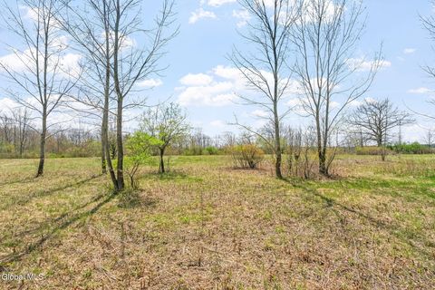 Vacant Land For Sale - L 8.2 Salsburg Road<br/> Schenectady County, Delanson, NY 12053